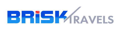 Brisk logo trans 2