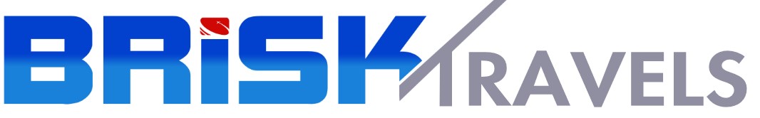 brisk logo